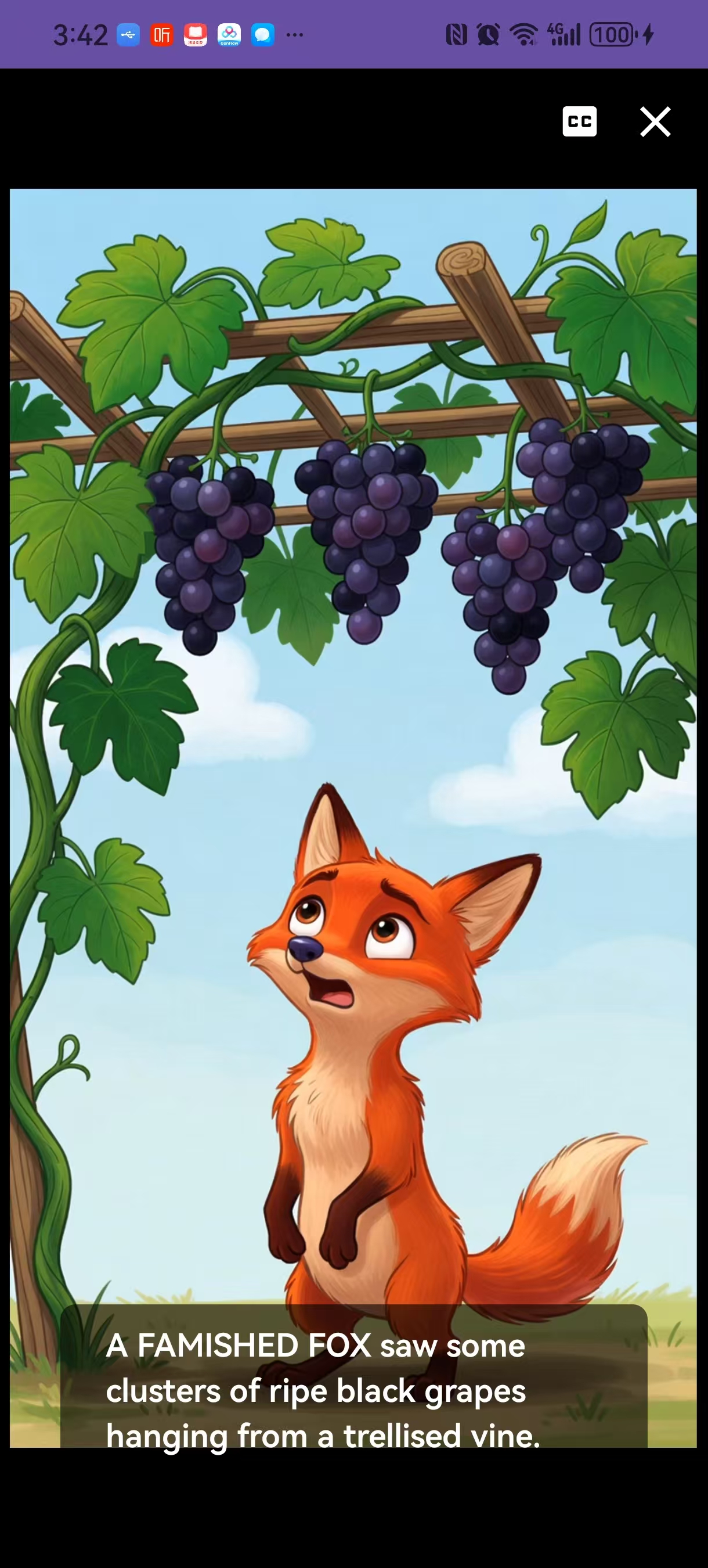 示例：播放与字幕区域